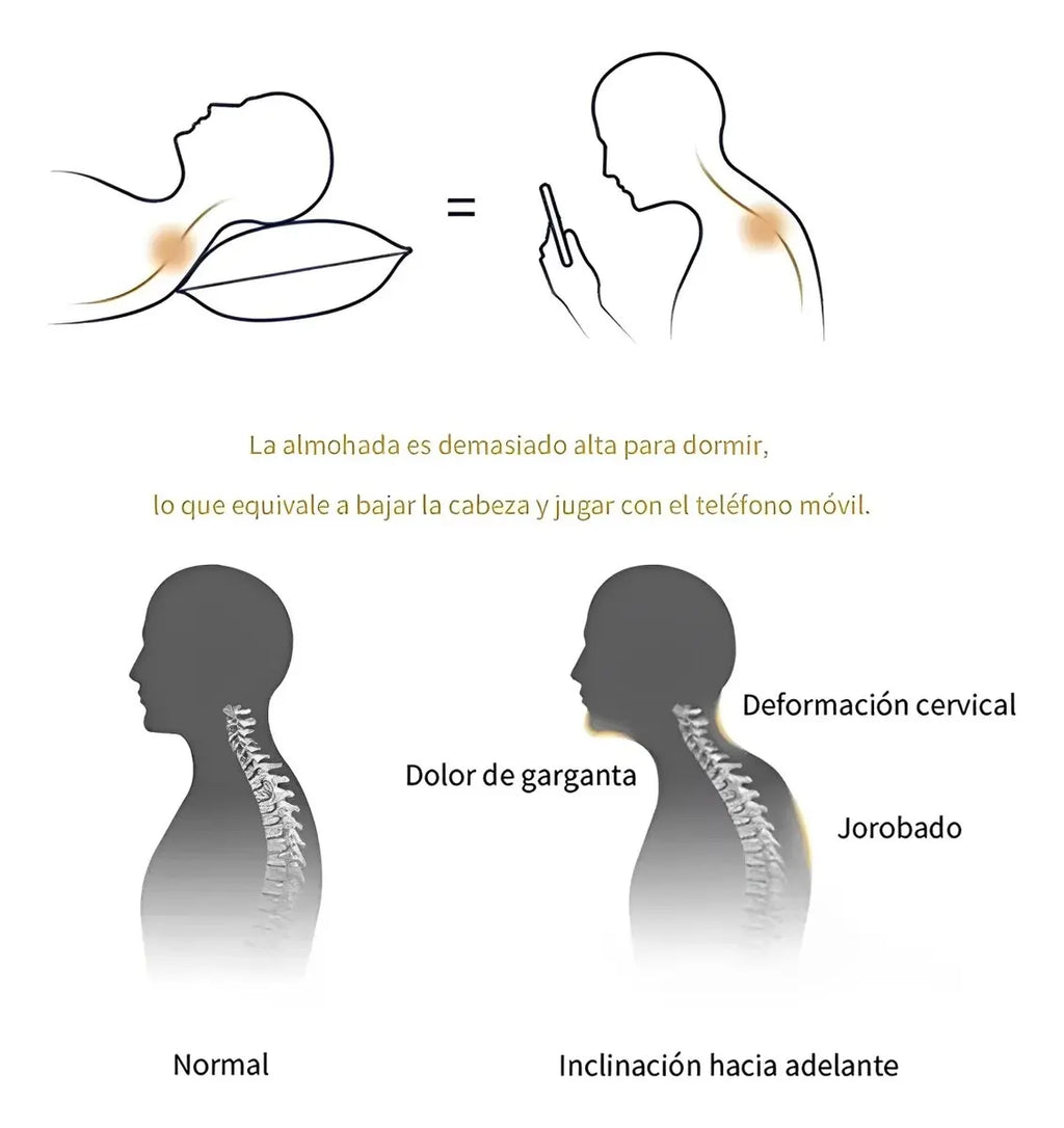 Almohada Ortopédica Cervical Curva Cojín Libre Presión Blanco