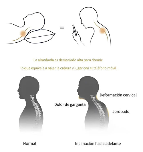 Almohada Ortopédica Cervical Curva Cojín Libre Presión Blanco